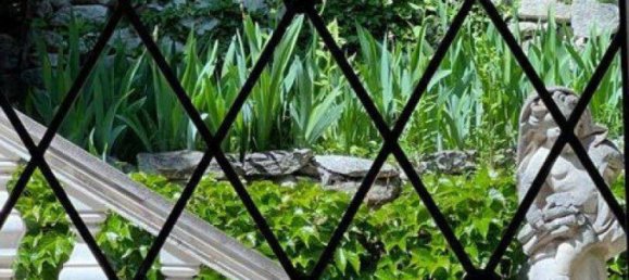 12-Zimmer Villa in Hinterbrühl, Austria, Nr. 249787 3