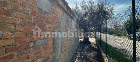 3 Schlafzimmer Haus in Mosciano Sant'Angelo, Italy, Nr. 149598 6