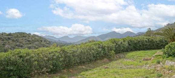 4 bedrooms House in Alicante, Spain No. 135710 43