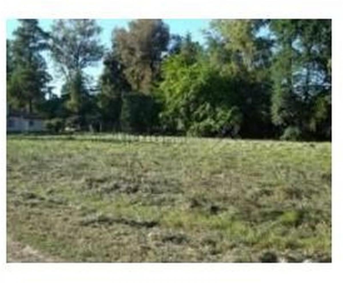  قطعة أرض في Pilar, Argentina رقم 115775