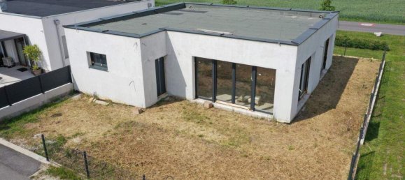 4 rooms Bungalow in Hornstein, Austria No. 154582 2