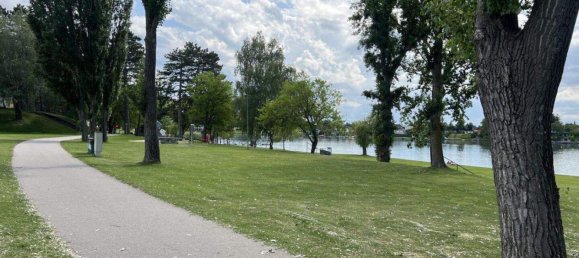 4 rooms Bungalow in Hornstein, Austria No. 154582 14