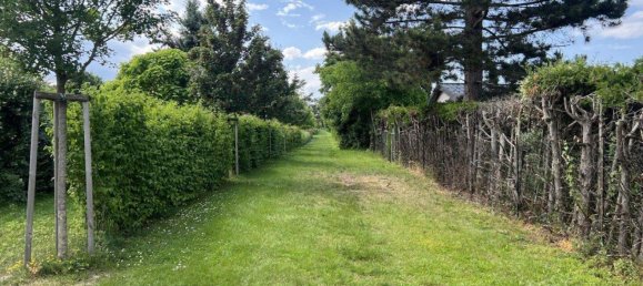 4 rooms Bungalow in Hornstein, Austria No. 154582 10