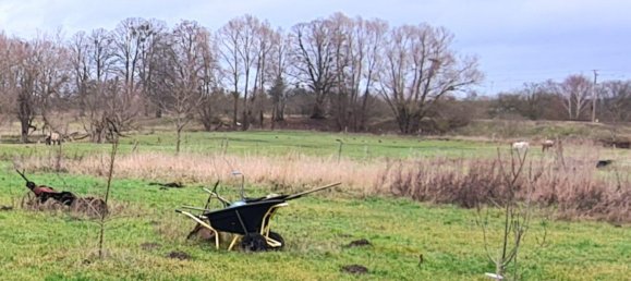 5 chambres Châteaux à Brandenburg, Germany No. 41996 4