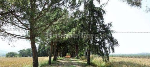 12 bedrooms House in Fratta Todina, Italy No. 68384 3