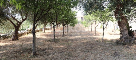 8غرفة فيلا في Noto, Italy رقم 289705 9