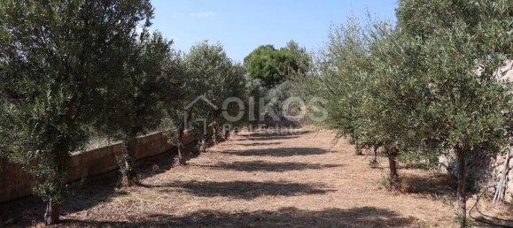 8غرفة فيلا في Noto, Italy رقم 289705 11