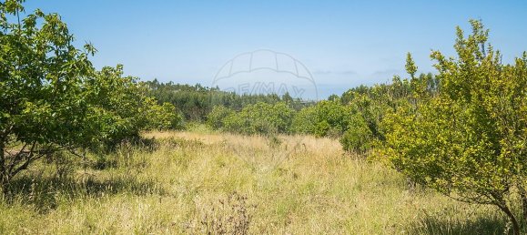 4 غرف نوم منزل في Lourinha, Portugal رقم 48946 34