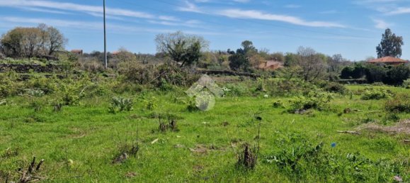 8 bedrooms Villa in Aci Sant'Antonio, Italy No. 309888 38