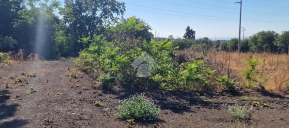 8 bedrooms Villa in Aci Sant'Antonio, Italy No. 309888 36