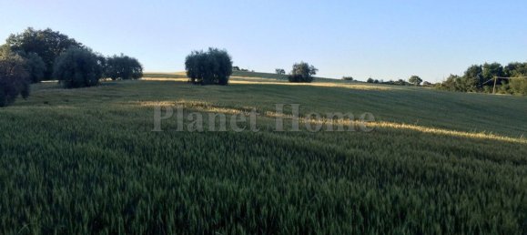 13 rooms House in Amelia, Italy No. 215961 21