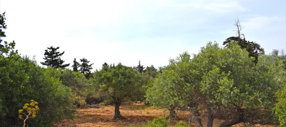 20000m² Hotel in Vamos, Greece No. 6749 2