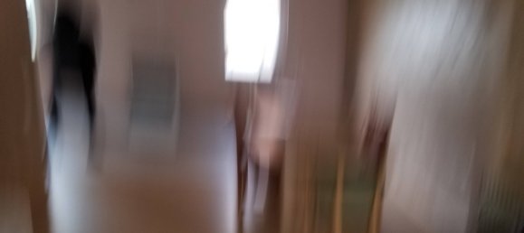 3-Zimmer Stadthaus in Stendal, Germany, Nr. 217833 22