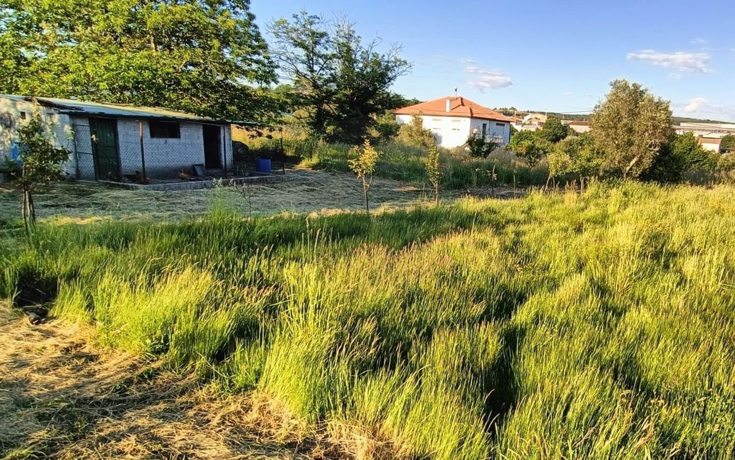 Terreno en Viseu, Portugal 2880 m² No. 77773