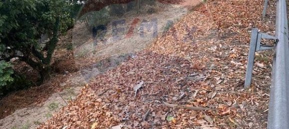 3 bedrooms House in Vila Real, Portugal No. 184324 10