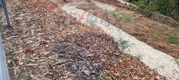 3 bedrooms House in Vila Real, Portugal No. 184324 9