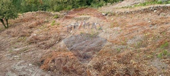 3 bedrooms House in Vila Real, Portugal No. 184324 12