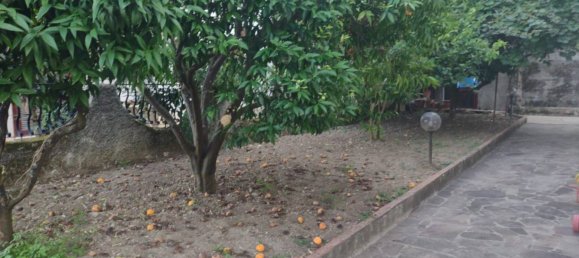 3 Schlafzimmer Villa in Santa Caterina Albanese, Italy, Nr. 250903 2