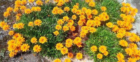 Дом с 4 спальнями в Вальдеботоа, Испания № 121755 9