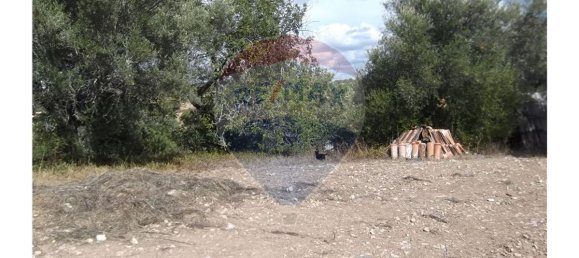 1 bedroom House in Santa Catarina da Fonte do Bispo, Portugal No. 163900 17