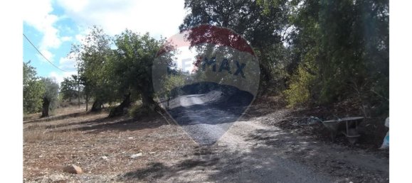 1 bedroom House in Santa Catarina da Fonte do Bispo, Portugal No. 163900 9