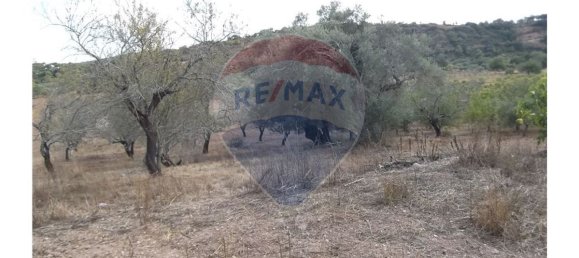 1 bedroom House in Santa Catarina da Fonte do Bispo, Portugal No. 163900 23