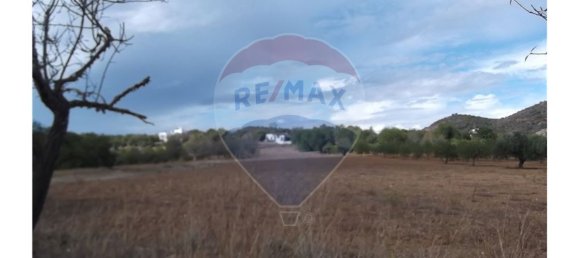 1 bedroom House in Santa Catarina da Fonte do Bispo, Portugal No. 163900 25