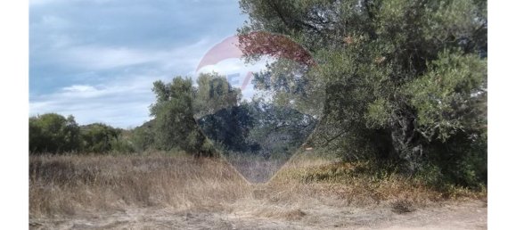 1 bedroom House in Santa Catarina da Fonte do Bispo, Portugal No. 163900 15