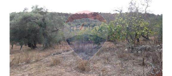 1 bedroom House in Santa Catarina da Fonte do Bispo, Portugal No. 163900 22