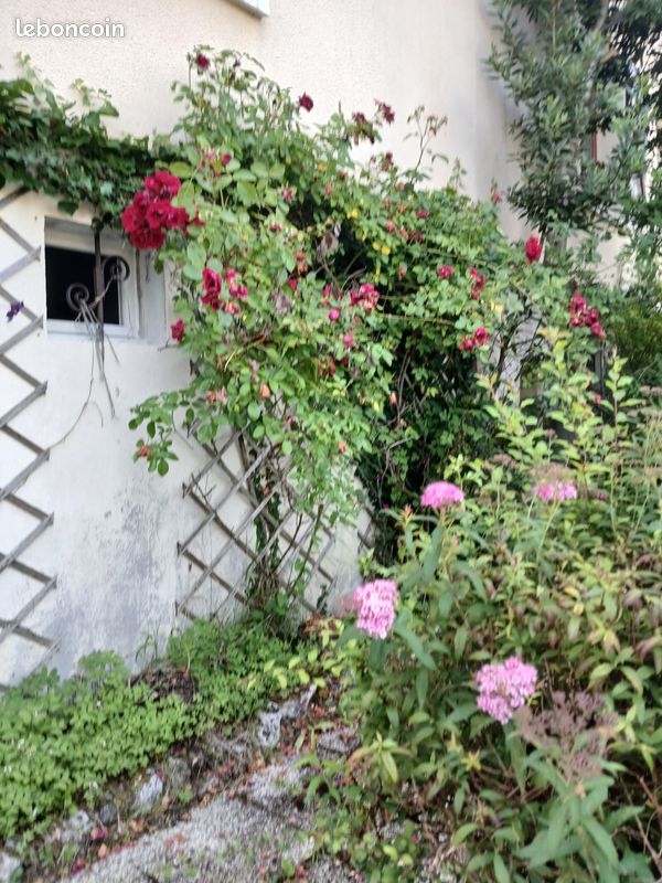 4 bedrooms House in Yonne, France No. 285576