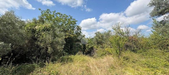 Studio in Lanciano, Italy No. 351246 2