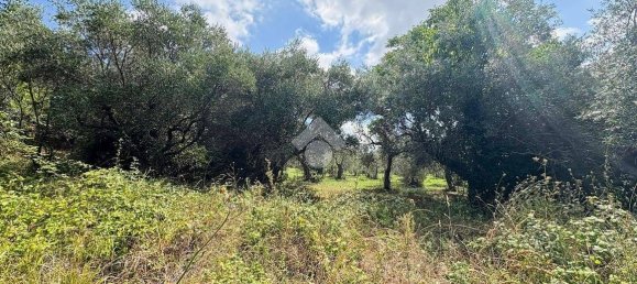 Studio in Lanciano, Italy No. 351246 7