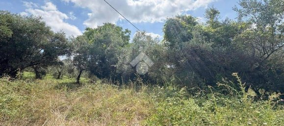 Studio in Lanciano, Italy No. 351246 3