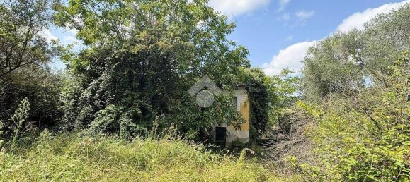 Studio in Lanciano, Italy, Nr. 351246 13