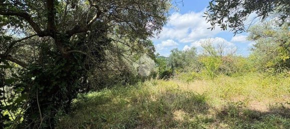 Studio in Lanciano, Italy No. 351246 8