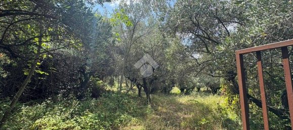 Studio in Lanciano, Italy No. 351246 6