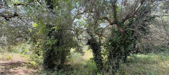 Studio in Lanciano, Italy No. 351246 5