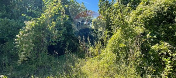 10 rooms House in Belvedere Ostrense, Italy No. 6550 20