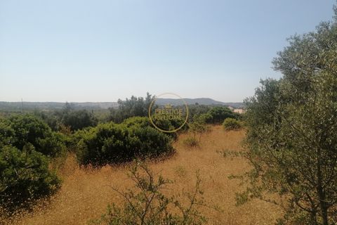 5400m² Land in Loule, Portugal No. 221739