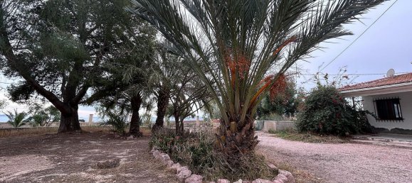 9 غرف نوم منزل في Novelda, Spain رقم 28360 28