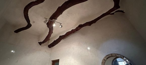 9 غرف نوم منزل في Novelda, Spain رقم 28360 6