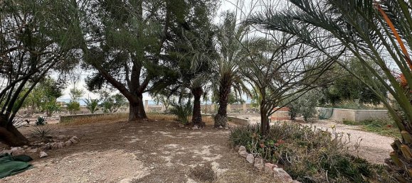 9 غرف نوم منزل في Novelda, Spain رقم 28360 22