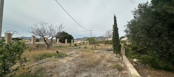 9 غرف نوم منزل في Novelda, Spain رقم 28360 21