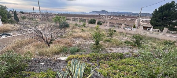 9 غرف نوم منزل في Novelda, Spain رقم 28360 27