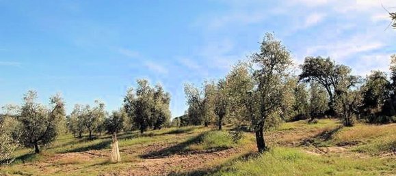 9 rooms House in Roccastrada, Italy No. 236989 5