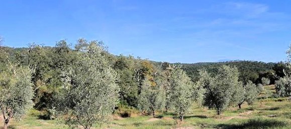 9 rooms House in Roccastrada, Italy No. 236989 13