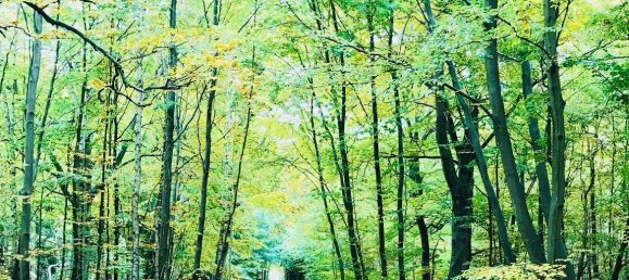 Apartamento T1 em Vorpommern-Rugen, Germany N.º 229752 18