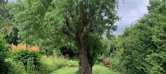 7 rooms House in Vorpommern-Rugen, Germany No. 183625 8