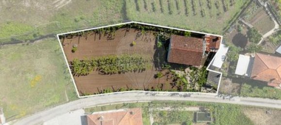 3 غرف نوم فيلا في Celorico de Basto, Portugal رقم 190073 26