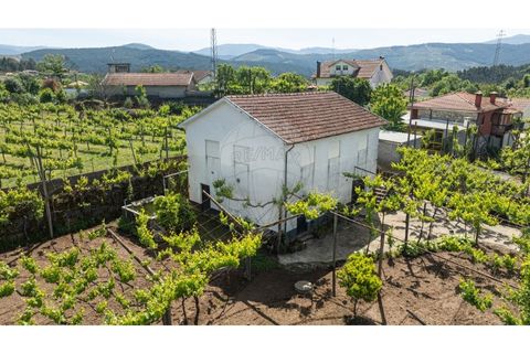3 غرف نوم فيلا في Celorico de Basto, Portugal رقم 190073